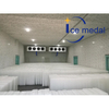 Icemedal IMB10 10 Tonnen Eisblockmaschine Skulptur Eisblockmaschine für Fische