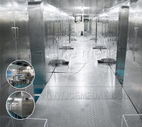 100 Tonnen ICE Cup Produktionslinie in China