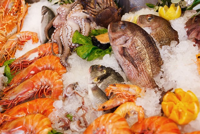 Eismaschinen für die Fischerei fördern die Entwicklung der Meeresfrüchteindustrie