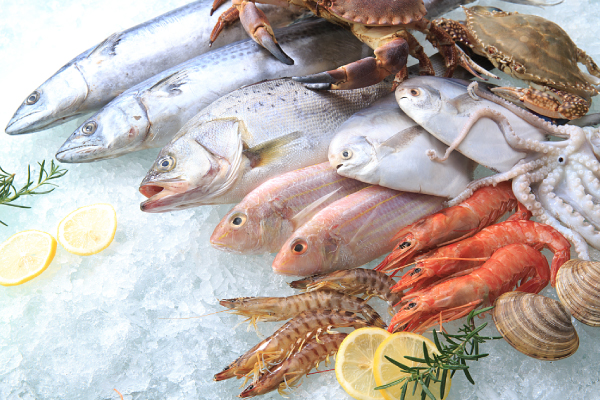 Flockeneis für Wasserprodukte