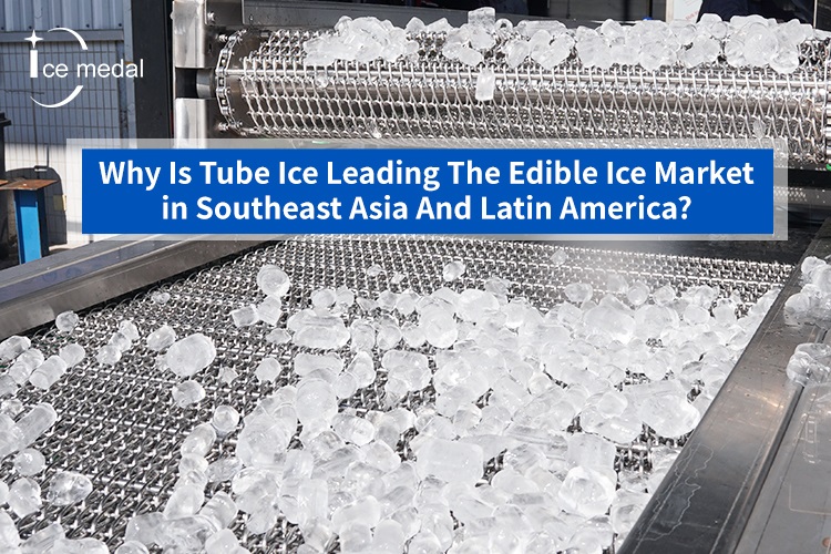 Warum ist Tube Ice führend auf dem Markt für Speiseeis in Südostasien und Lateinamerika?