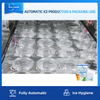 Vollautomatische Würfeleis-Produktionslinie mit Verpackungssystem für die Eisfabrik