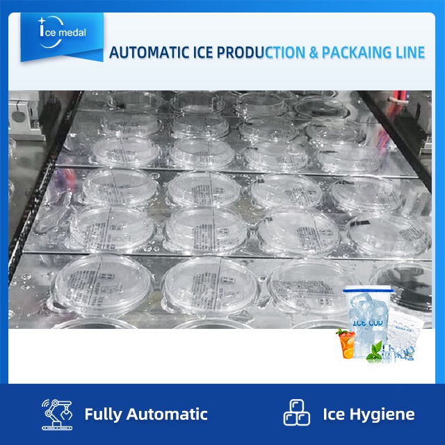 Vollautomatische Würfeleis-Produktionslinie mit Verpackungssystem für die Eisfabrik