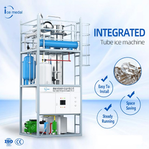 Customized großer Kapazitätsröhrchen-Eisherstellung Machine 10-30 Tonnen Philippinen für die Eisfabrik