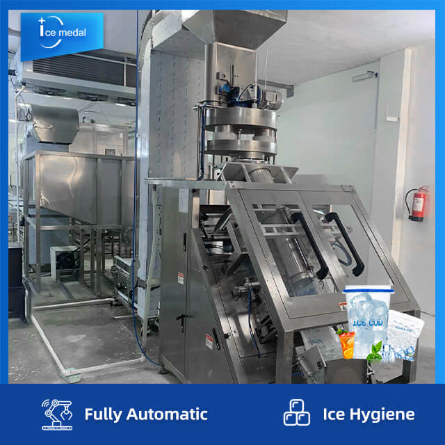 Vollautomatische Würfeleis-Produktionslinie mit Verpackungssystem für die Eisfabrik