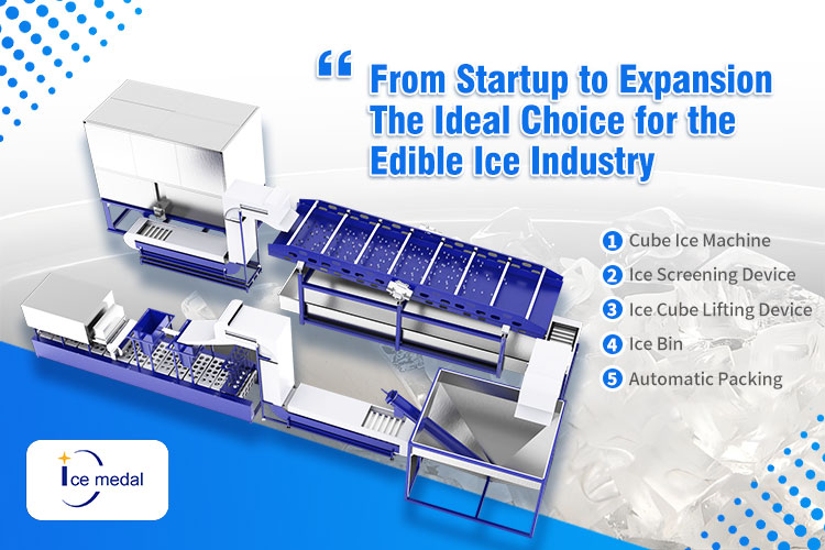 Von der Gründung bis zur Expansion: Die ideale Wahl für die Speiseeisindustrie