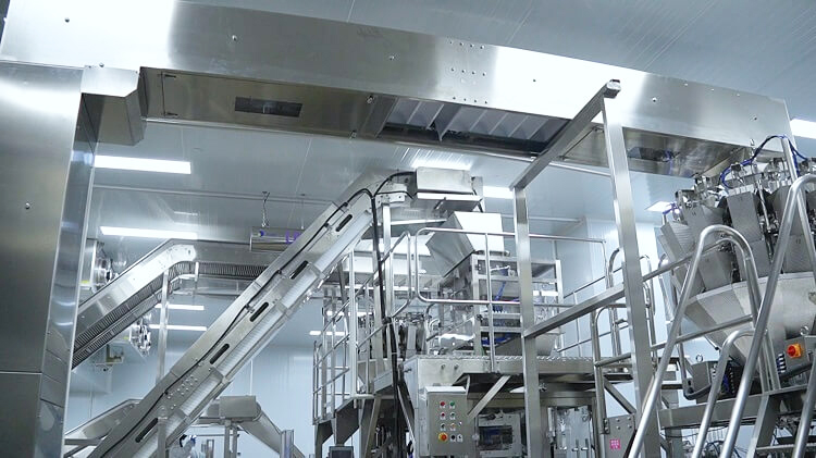 Icemedal Eisf&ouml;rder- und Verpackungssystem in der Eisfabrik